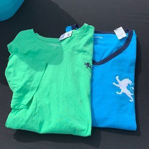 Express Wonen’s Short Sleeved Tee Shirts (2) Large /1 Green / 1 Blue.